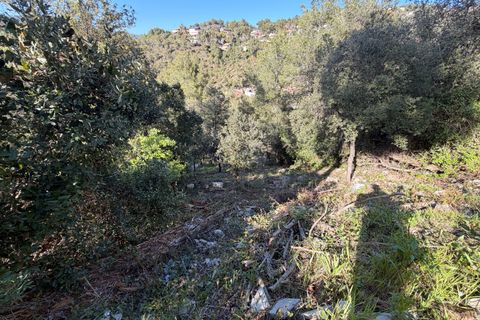 Terra a Barcelona, Barcelona, Barcelona - € 35.000 | Ref: 864281 - foto 7