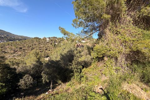 Terra a Barcelona, Barcelona, Barcelona - € 35.000 | Ref: 864255 - foto 7