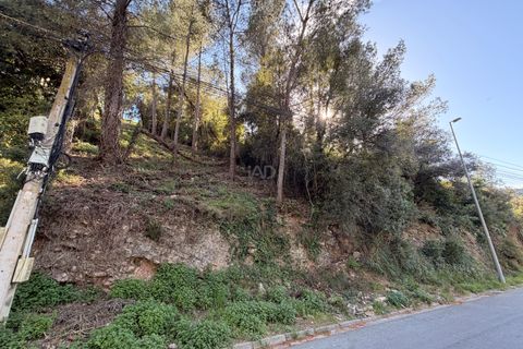 Terra a Barcelona, Barcelona, Barcelona - € 35.000 | Ref: 864255 - foto 8