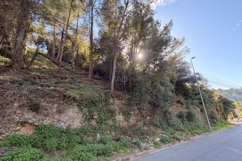 Terra a Barcelona, Barcelona, Barcelona - € 35.000 | Ref: 864255 - foto 9