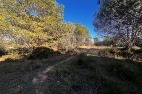 Tomt i Girona, Gerona, Girona - € 700 000 | Ref: 803026 - foto 5