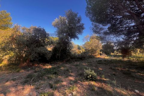 Tomt i Girona, Gerona, Girona - € 700 000 | Ref: 803026 - foto 10