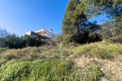 Terra a Barcelona, Barcelona, Barcelona - € 65.000 | Ref: 799154 - foto 4