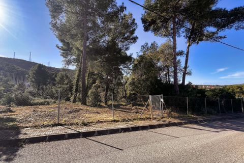 Terra a Barcelona, Barcelona, Barcelona - € 58.000 | Ref: 802931 - foto 3