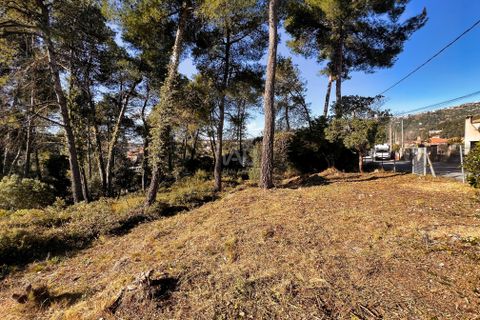 Terra a Barcelona, Barcelona, Barcelona - € 58.000 | Ref: 802931 - foto 5