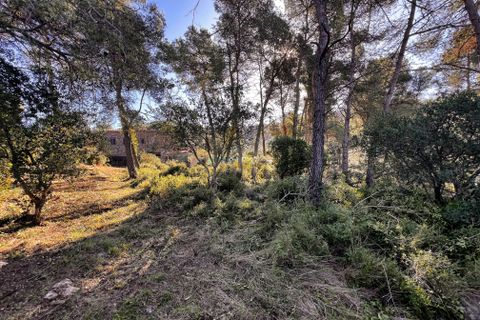 Terra a Barcelona, Barcelona, Barcelona - € 58.000 | Ref: 802931 - foto 7