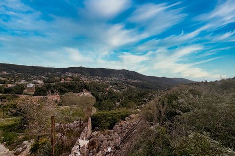 Terra a Barcelona, Barcelona, Barcelona - € 155.000 | Ref: 815493 - foto 7