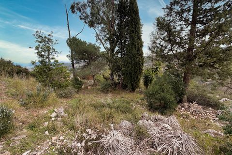 Terra a Barcelona, Barcelona, Barcelona - € 155.000 | Ref: 815493 - foto 9