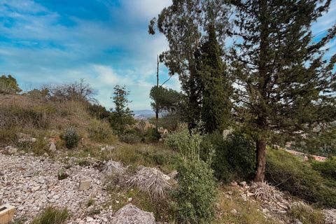 Terra a Barcelona, Barcelona, Barcelona - € 155.000 | Ref: 815493 - foto 11