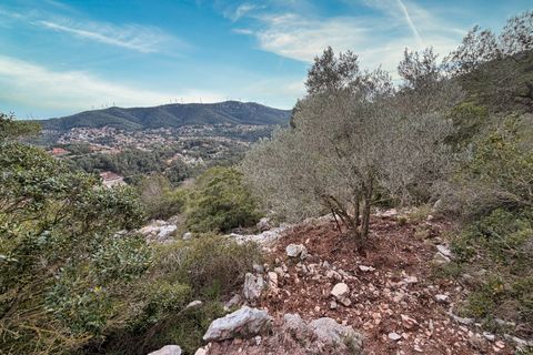Terra a Barcelona, Barcelona, Barcelona - € 155.000 | Ref: 815493 - foto 13