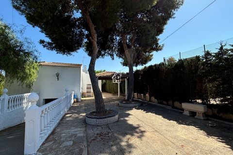 Villa a Torrevieja, Alicante, Torrevieja - € 2.500/mes | Ref: CHA00750 - foto 8