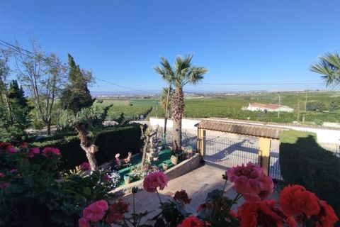 Farm i Almoradi, Alicante, Almoradi - € 600.000 | Ref: 8669 - foto 22
