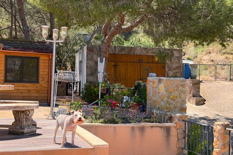 Finca i Orihuela, Alicante, Orihuela - € 330.000 | Ref: MCO-81118 - foto 4