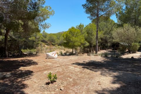 Finca i Orihuela, Alicante, Orihuela - € 330.000 | Ref: MCO-81118 - foto 18