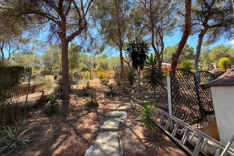 Finca i Orihuela, Alicante, Orihuela - € 330.000 | Ref: MCO-81118 - foto 20
