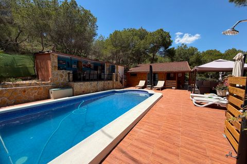 Finca i Orihuela, Alicante, Orihuela - € 330.000 | Ref: MCO-81118 - foto 23