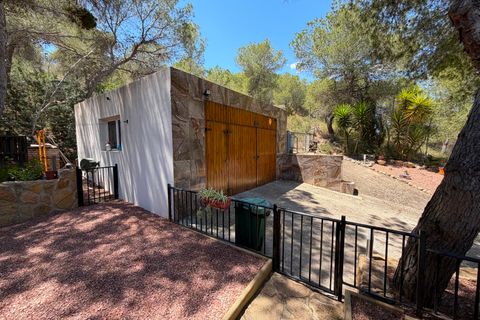 Finca i Orihuela, Alicante, Orihuela - € 330.000 | Ref: MCO-81118 - foto 33