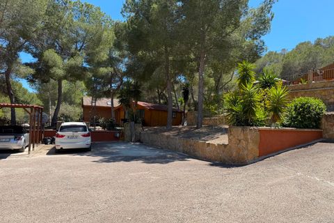 Finca i Orihuela, Alicante, Orihuela - € 330.000 | Ref: MCO-81118 - foto 34