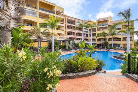 Leilighet i Palm Mar, Tenerife, Palm Mar - € 295 000 | Ref: 6822 - foto 11