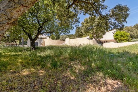 Villa i Bormes-les-Mimosas, Var, Bormes-les-Mimosas - € 1.275.000 | Ref: HH-16177763 - foto 19