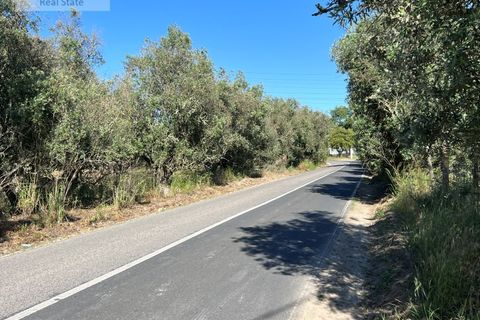 Villa i Setubal, Setubal, Setubal - € 200.000 | Ref: MOR_1449 - foto 12