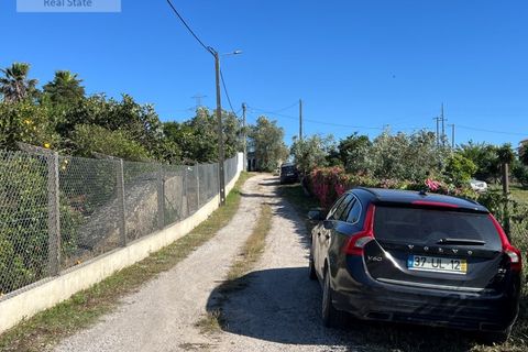 Villa i Setubal, Setubal, Setubal - € 200.000 | Ref: MOR_1449 - foto 14