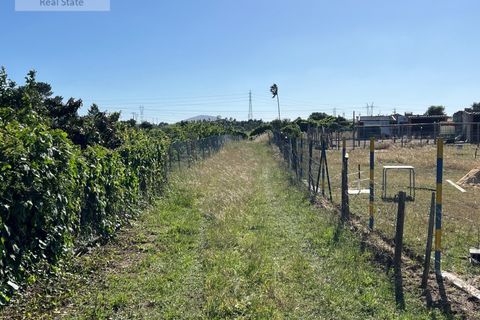 Villa i Setubal, Setubal, Setubal - € 200.000 | Ref: MOR_1449 - foto 15