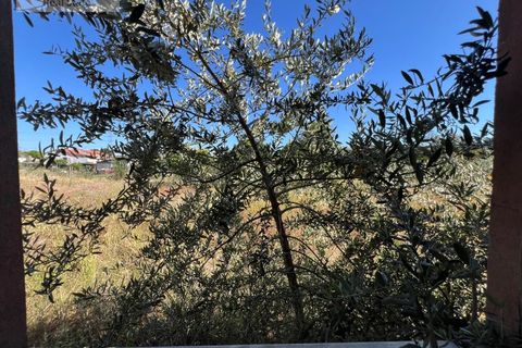 Villa i Setubal, Setubal, Setubal - € 200.000 | Ref: MOR_1449 - foto 27
