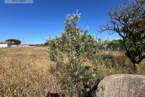 Villa i Setubal, Setubal, Setubal - € 200.000 | Ref: MOR_1449 - foto 36