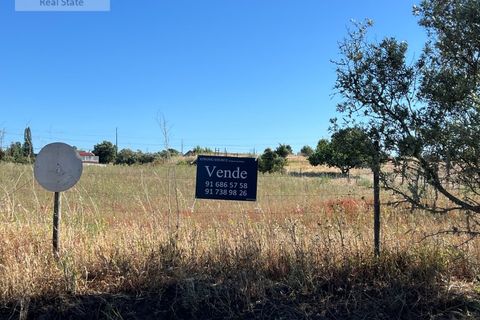 Villa i Setubal, Setubal, Setubal - € 200.000 | Ref: MOR_1449 - foto 41