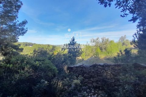 Villa en Sant Joan de Labritja, Ibiza, Sant Joan de Labritja - € 1.400/mes | Ref: 4754 - photo 11