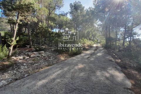 Villa en Sant Joan de Labritja, Ibiza, Sant Joan de Labritja - € 1.400/mes | Ref: 4754 - photo 12