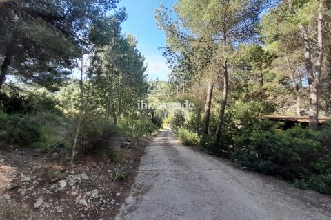 Villa en Sant Joan de Labritja, Ibiza, Sant Joan de Labritja - € 1.400/mes | Ref: 4754 - photo 13