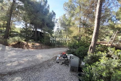 Villa en Sant Joan de Labritja, Ibiza, Sant Joan de Labritja - € 1.400/mes | Ref: 4754 - photo 14
