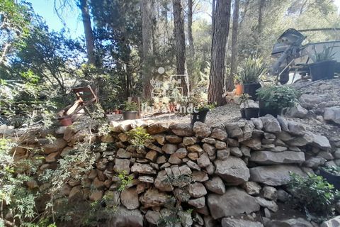 Villa en Sant Joan de Labritja, Ibiza, Sant Joan de Labritja - € 1.400/mes | Ref: 4754 - photo 15