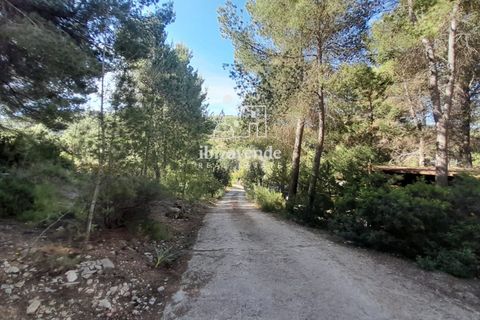 Villa en Sant Joan de Labritja, Ibiza, Sant Joan de Labritja - € 1.400/mes | Ref: 4754 - photo 16