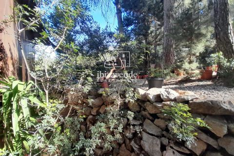Villa en Sant Joan de Labritja, Ibiza, Sant Joan de Labritja - € 1.400/mes | Ref: 4754 - photo 17