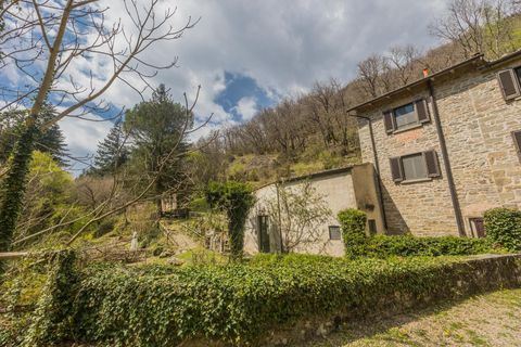 Landejendom i Loro Ciuffenna, Arezzo, Loro Ciuffenna - € 1.280.000 | Ref: R06297LORU - foto 3