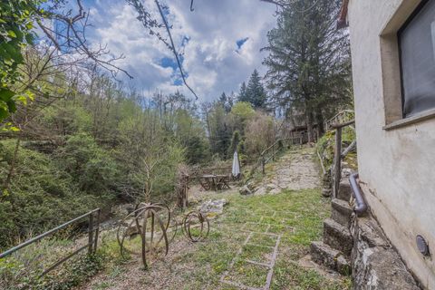 Landejendom i Loro Ciuffenna, Arezzo, Loro Ciuffenna - € 1.280.000 | Ref: R06297LORU - foto 8