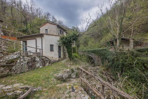 Landejendom i Loro Ciuffenna, Arezzo, Loro Ciuffenna - € 1.280.000 | Ref: R06297LORU - foto 11