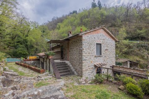 Landejendom i Loro Ciuffenna, Arezzo, Loro Ciuffenna - € 1.280.000 | Ref: R06297LORU - foto 12