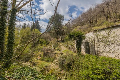Landejendom i Loro Ciuffenna, Arezzo, Loro Ciuffenna - € 1.280.000 | Ref: R06297LORU - foto 5