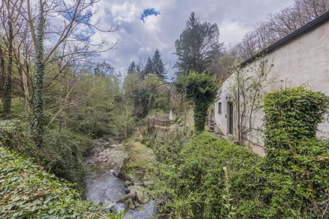 Landejendom i Loro Ciuffenna, Arezzo, Loro Ciuffenna - € 1.280.000 | Ref: R06297LORU - foto 7