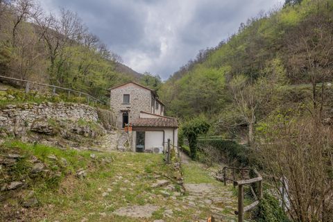 Landejendom i Loro Ciuffenna, Arezzo, Loro Ciuffenna - € 1.280.000 | Ref: R06297LORU - foto 10