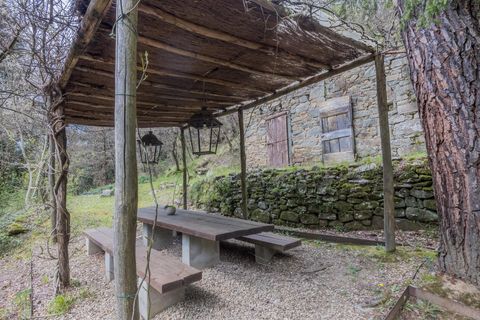 Landejendom i Loro Ciuffenna, Arezzo, Loro Ciuffenna - € 1.280.000 | Ref: R06297LORU - foto 15