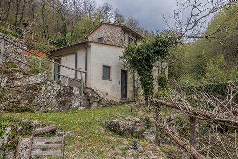 Landejendom i Loro Ciuffenna, Arezzo, Loro Ciuffenna - € 1.280.000 | Ref: R06297LORU - foto 9