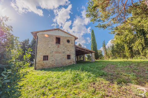 Landejendom i Cetona, Siena, Cetona - € 690.000 | Ref: R054912CERU - foto 10