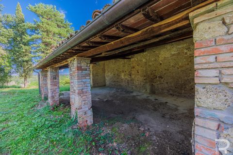 Landejendom i Cetona, Siena, Cetona - € 690.000 | Ref: R054912CERU - foto 13