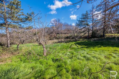 Landejendom i Cinigiano, Grosseto, Cinigiano - € 250.000 | Ref: R06244CIEH - foto 15