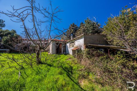 Landejendom i Cinigiano, Grosseto, Cinigiano - € 250.000 | Ref: R06244CIEH - foto 11